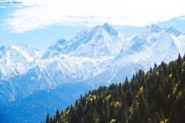 Greater Caucasus / ***