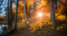 Transparent Autumn / Lac Black