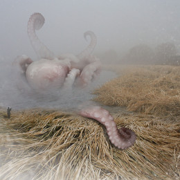 Misty vstechi ... / ***