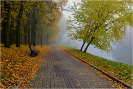 misty autumn / ***