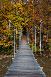 Bridge in autumn / ***