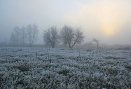 Frosty Dawn / ***