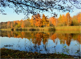 reflection autumn / ***