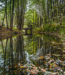 The bridge in the park / ***