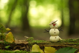 Summer Snowman / ***