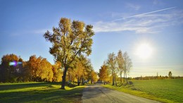 Autumn road / ***