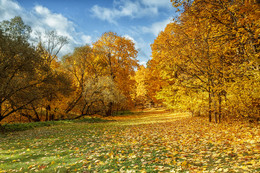 Autumn in the park / ***