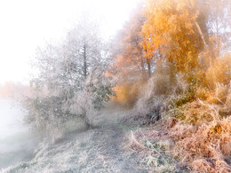 Frosty dawn in October .... 3. / ***