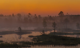 Karelian summer nights / ***