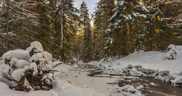 After snowfall / ***