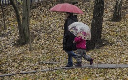 Rain absenteeism is not a hindrance / ***