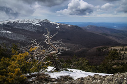 On the hillside / ***