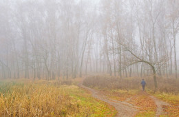 Autumn Marathon / ***