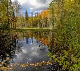 Corner Russia. / ***