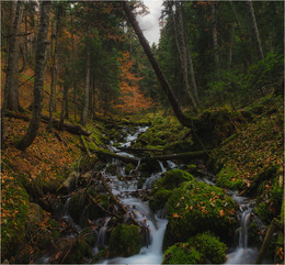 Autumn creek / ***