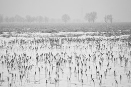 There is no bad weather / ***