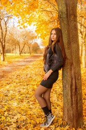 Autumn / ***