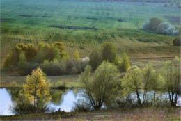 Rainbow fields / ***