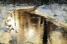 Gold River. / ***