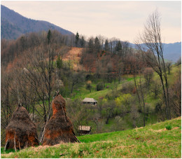 Spring in the Carpathians / ***