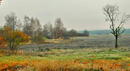 autumnal gloom / ***