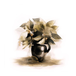 black jug 2 / digital art