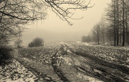 Roads / ***
