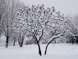 First snow / ***