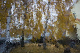 Autumn rains / ***