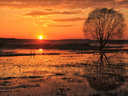 Lake Pleshcheyevo / ***