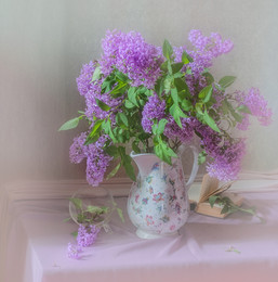 Persian lilac ... / ...