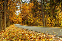 Next to the road / ***