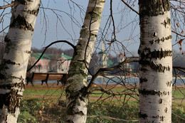 Three birch ... / ***