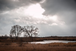 The rays of light in a cloudy day / ***