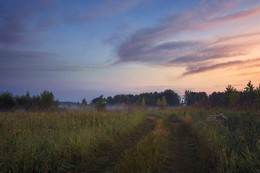The morning of the summer! / ***