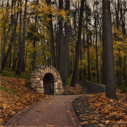 Autumn in the park / ***