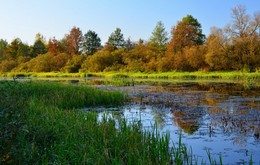 Autumn on the Berezina / ***