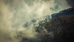 The slopes of Ai-Petri / ***