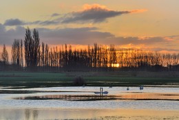 A romantic morning. / ***