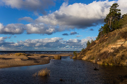 Wind from the west / ***