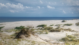 Dune and Sea / ***