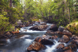 Mountain creek / ***