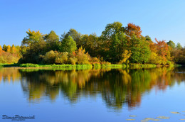 Autumn Reflection / ***