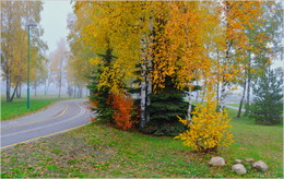Autumn / ***