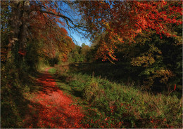 ... autumn paths II ... / ***