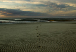 *footprints in the sand* / ***