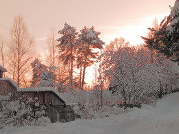 Winter sleep nature sleeps / ***