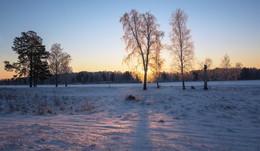 Winter Color! / ***