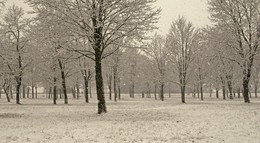 snowfall / ***