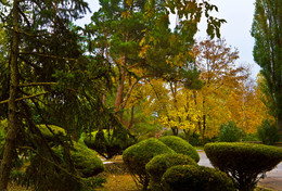 Autumn in the park. / ***